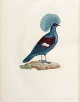 Les pigeons, Paris, [1808] -11, contemporary red morocco backed boards