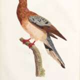 Les pigeons, Paris, [1808] -11, contemporary red morocco backed boards - photo 3