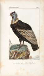 Traité d'ornithologie, Paris, 1831, 2 volumes
