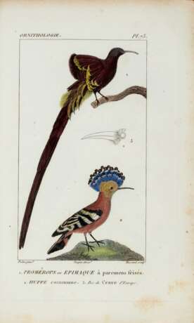Traité d'ornithologie, Paris, 1831, 2 volumes - photo 3