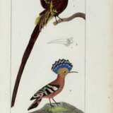 Traité d'ornithologie, Paris, 1831, 2 volumes - Foto 3