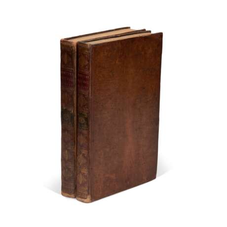A new dictionary of natural history, London, 1785, 2 volumes, contemporary calf - Foto 3