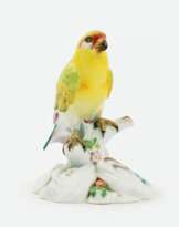 Ernst August Leuteritz (Meissen 1818 - ebd. 1893). Papagei auf Aststrunk.