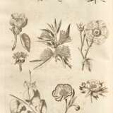 The Gardener's and Botanist's Dictionary, London, 1807, 4 vols, contemporary calf gilt - photo 1
