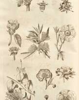 The Gardener's and Botanist's Dictionary, London, 1807, 4 vols, contemporary calf gilt