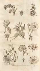 The Gardener's and Botanist's Dictionary, London, 1807, 4 vols, contemporary calf gilt