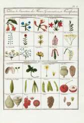 Plantes usuelles, indigènes et exotiques, Paris, 1802, 2 volumes, contemporary green half morocco