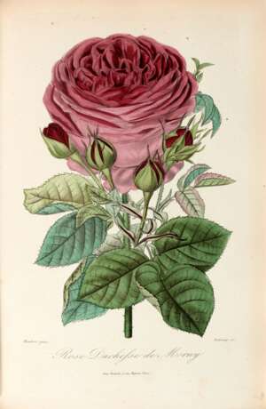 Roses et rosiers par des horticulteurs et des amateurs de jardinage, Paris, [c.1875], later cloth - photo 1