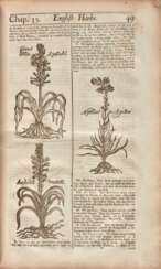 Botanologia. The English herbal: or, history of plants, 1710