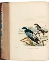 A Monograph of the Hirundinidae, 1885-1894, 2 volumes