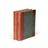 A Monograph of the Hirundinidae, 1885-1894, 2 volumes - фото 4