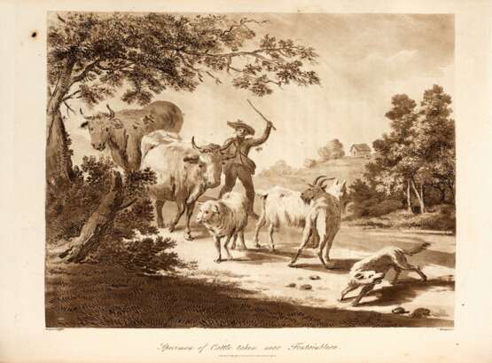 A sporting tour through various parts of France in the year 1802, London, 1806, half calf - Foto 1