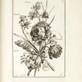 Livre de fleurs dessinées d'après nature, c.1680-1690 - Foto 1