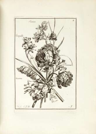 Livre de fleurs dessinées d'après nature, c.1680-1690 - Foto 1