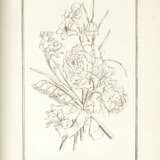 Livre de fleurs dessinées d'après nature, c.1680-1690 - Foto 2