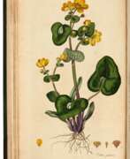 William Curtis. Flora londinensis, London, 1777, first edition, 5 vols (of 6), bound in 3, 19th century half morocco