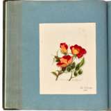 "Ligna patriae collecta et depicta", album of 95 botanical watercolours, Saxony, 19th century - photo 5