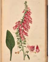 Digitalium monographia, London, 1821, first edition, later buckram boards