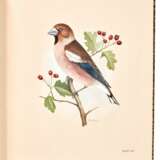 The Birds of the British Islands, 1906-1911, 5 vols, plates finely hand-coloured by M. Woodcock - Foto 2