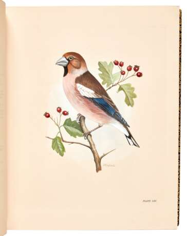 The Birds of the British Islands, 1906-1911, 5 vols, plates finely hand-coloured by M. Woodcock - photo 2