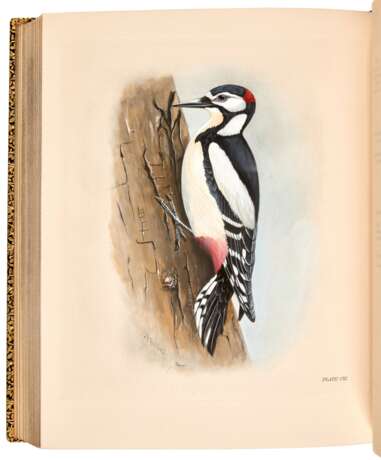 The Birds of the British Islands, 1906-1911, 5 vols, plates finely hand-coloured by M. Woodcock - фото 3