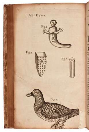 An Account of divers Choice Remarks ... a voyage to the Levant, London, 1701, modern boards - Foto 2