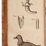 An Account of divers Choice Remarks ... a voyage to the Levant, London, 1701, modern boards - Foto 2