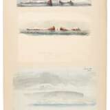 Ross Expedition—Joseph Dalton Hooker and others | A portfolio of sketches chiefly relating to Captain James Clark Ross's scientific exploration of the Antarctic in 1839 to 1843 - фото 4