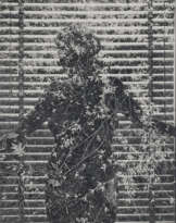 HARRY CALLAHAN (1912–1999)