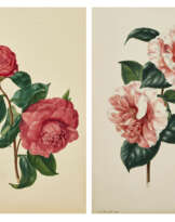 EDWIN DALTON SMITH (BRITISH, FL. 1823-46)