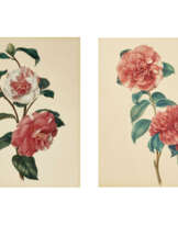 EDWIN DALTON SMITH (BRITISH, FL. 1823-46)