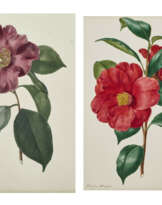 EDWIN DALTON SMITH (BRITISH, FL. 1823-46)