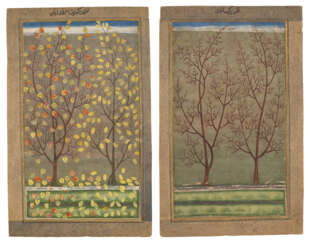 TREES IN AUTUMN AND WINTER