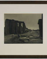 ADOLPHE BRAUN & COMPAGNIE (1811-1877)