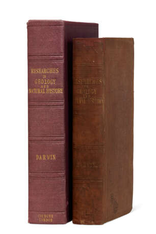 Journal of Researches into the Geology and Natural History of the various countries visited by H.M.S. Beagle - Foto 2