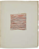 Icon tunicae villosae intestini duodone