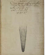 Borges Da Veiga. A contemporary account of the 1766 comet
