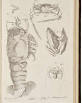 The Civil and Natural History of Jamaica