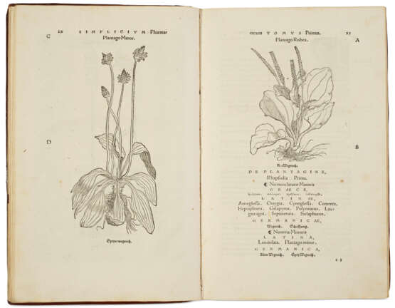 Herbarium vivae eicones ad nature imitationem - фото 3