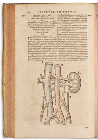 Opera observationum et curationum medico-chirurgicarum quae extant omnia - Foto 1