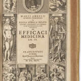 Opera observationum et curationum medico-chirurgicarum quae extant omnia - фото 3