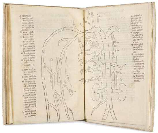 Expositio in librum Galeni De Ossibus huic accesserunt observationes anatomicae eiusdem authoris - Foto 1