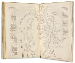 Expositio in librum Galeni De Ossibus huic accesserunt observationes anatomicae eiusdem authoris