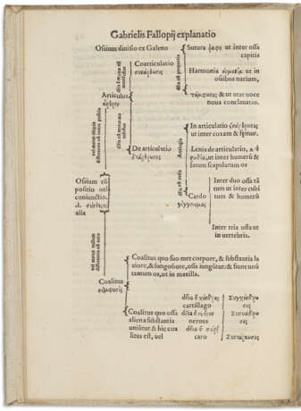Expositio in librum Galeni De Ossibus huic accesserunt observationes anatomicae eiusdem authoris - Foto 2