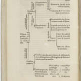 Expositio in librum Galeni De Ossibus huic accesserunt observationes anatomicae eiusdem authoris - Foto 2