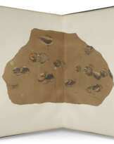 The Ichnology of Annandale or Illustrations of Footmarks impressed on the New Red Sandstone of Corncockle Muir