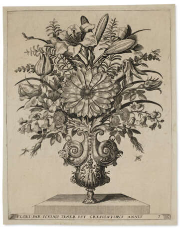 A suite of emblematic florilegium engravings - photo 1
