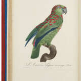 Histoire naturelle des perroquets - фото 9