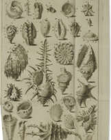 Fundamenta testaceologiae