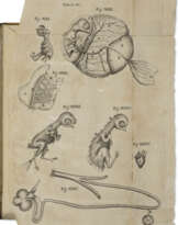 Dissertatio epistolica de formatione pulli in ovo